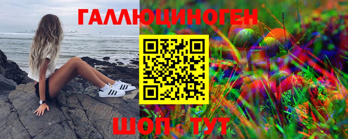Галлюциногенные грибы Psilocybe Конаково